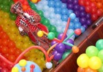 animacao-de-festa-patos-de-minas-1353341446