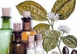 farmacias-de-homeopatia-patos-de-minas-1353428131