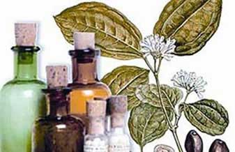 Farmácia Homeopática e Manipulação Vila Rica - Foto 1