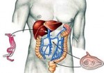 gastroenterologia-patos-de-minas-1353430473