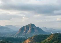 Patos de Minas se destaca entre as maiores economias de Minas Gerais