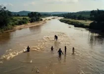 Nível do Rio Paranaíba