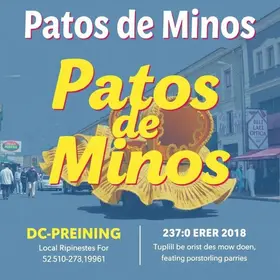 Carnaval em Patos de Minas