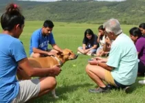 encontro de protetores da causa animal