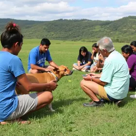 encontro de protetores da causa animal