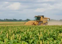 colheita de soja em Patos de Minas