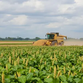 colheita de soja em Patos de Minas