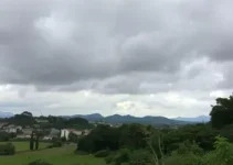 Patos de Minas
