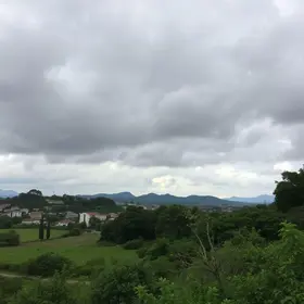 Patos de Minas
