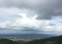 Patos de Minas