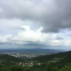 Patos de Minas