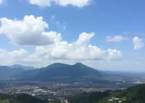 Patos de Minas