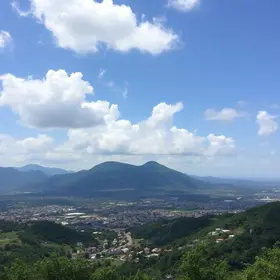 Patos de Minas