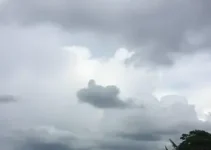 clima em Patos de Minas