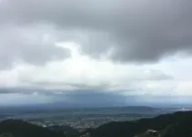 Patos de Minas