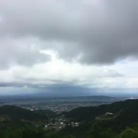 Patos de Minas