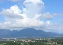 Patos de Minas