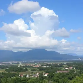 Patos de Minas