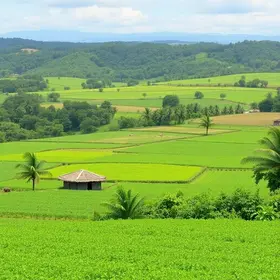 Agro + Verde