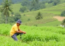 Fasa adquire plantas da Patense