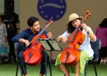 Patos & Viola