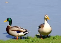 policlínica em Patos de Minas