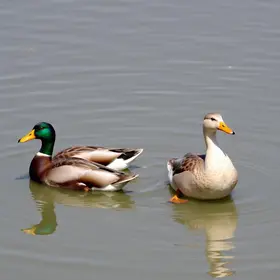nova policlínica em Patos de Minas