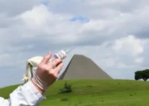 Pneumo 20